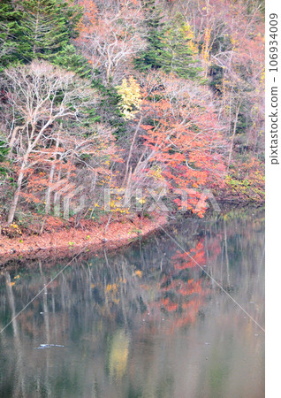 Beautiful pastoral scenery of Niseko Town Beautiful pastoral scenery of Niseko Town 106934009