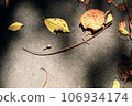 落葉倒在地上 106934174
