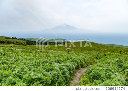 從禮文島桃岩展望台眺望利尻山的輪廓 106934274
