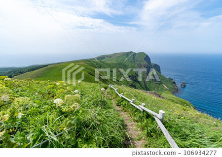 禮文島桃岩展望台路線的徒步風景 禮文島桃岩展望台路線的徒步風景 106934277