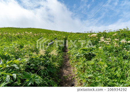 桃岩展望台路線的遠足風景 桃岩展望台路線的遠足風景 106934292