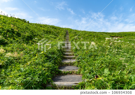 禮文島桃岩展望台階梯 禮文島桃岩展望台階梯 106934308