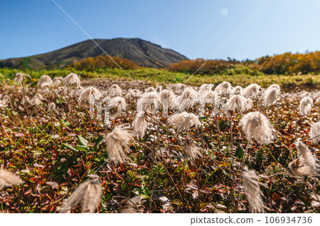 Tingleung in autumn Tingleung in autumn 106934736