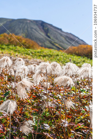 Tingleung in autumn Tingleung in autumn 106934737