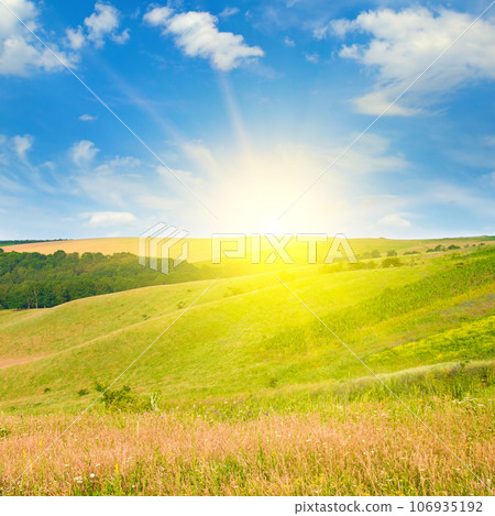 Green meadow (pasture) and sun. Green meadow (pasture) and sun. 106935192