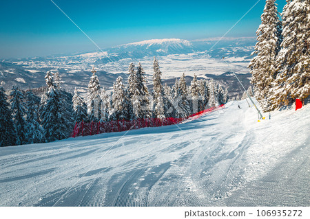 Prepared ski slope and snowy pine forest in the Carpathians 106935272