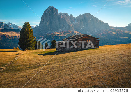 Wonderful mountain pasture view at autumn, Sassolungo group, Dolomites, Italy Wonderful mountain pasture view at autumn, Sassolungo group, Dolomites, Italy 106935276