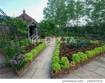 北海道_春天Ecorin村“銀河花園”花卉、蔬菜和水果花園 北海道_春天Ecorin村“銀河花園”花卉、蔬菜和水果花園 106935418