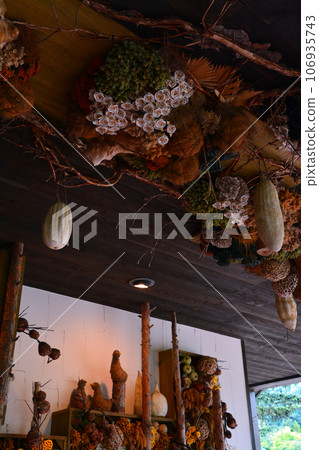 The beautiful world of dried flower art 106935743