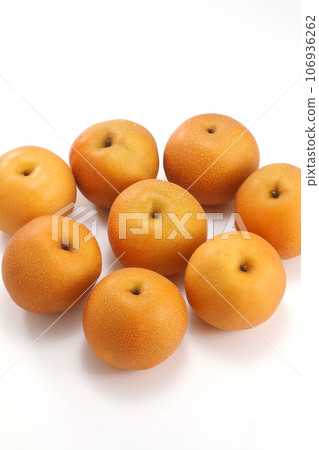 Toyomizu Nashi Toyomizu Nashi 106936262