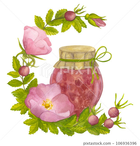 Branch Wild Rose with leaves, flowers and berries. Homemade rosehip jam in glass jar. Hand draw watercolor illustration isolated on white background. For logo, card, print packaging design, fabric 106936396