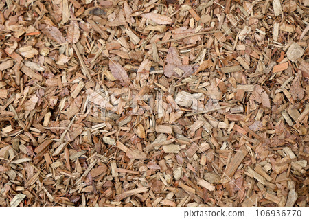 枯葉和木屑散落在地上 106936770