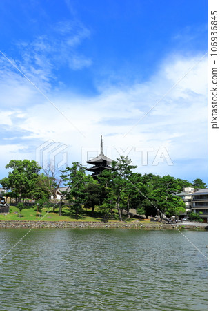 Five-storied pagoda of Kofukuji Temple seen from Sarusawa Pond Five-storied pagoda of Kofukuji Temple seen from Sarusawa Pond 106936845