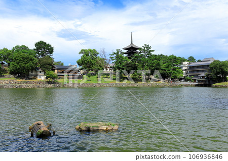 Five-storied pagoda of Kofukuji Temple seen from Sarusawa Pond Five-storied pagoda of Kofukuji Temple seen from Sarusawa Pond 106936846