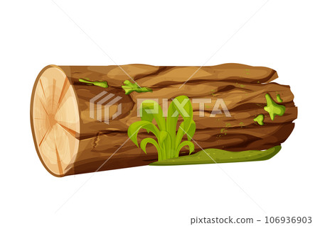 Tree log, wood, forest trunk with moss and grass in cartoon style isolated on white background. Piece or section. Detailed and textured ibject. 106936903
