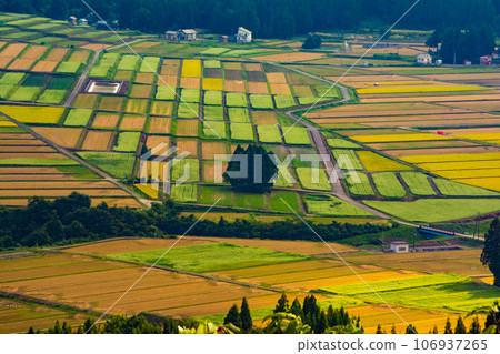 Rural scenery shining golden (photographed by Yamamotoyama Plateau, Ojiya City, Niigata Prefecture) 106937265