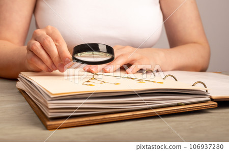 Herbarium book, studying flowers, dry plants on paper page Herbarium book, studying flowers, dry plants on paper page 106937280