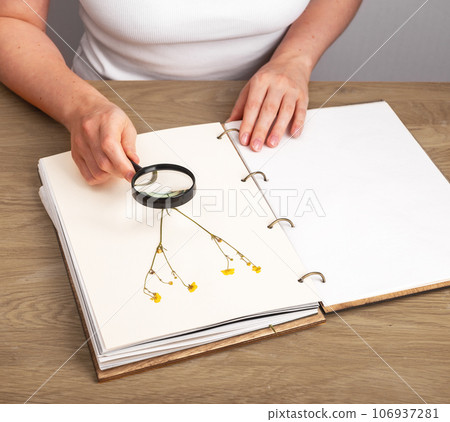 Herbarium book, studying herbs, dried floral plants on paper page of botanical album Herbarium book, studying herbs, dried floral plants on paper page of botanical album 106937281