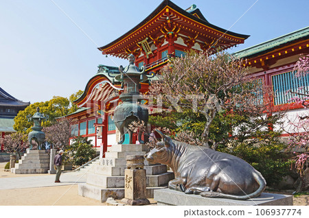 山口縣防府天滿宮的朱門和梅花 106937774