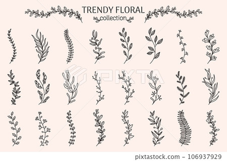 Flower branch. Eucalyptus, rosemary herb, lavender floral plants, rustic olive. Leaves and berries. Frame and border decorative elements for design. Botanical decor. Vector linear icons set Flower branch. Eucalyptus, rosemary herb, lavender floral plants, rustic olive. Leaves and berries. Frame and border decorative elements for design. Botanical decor. Vector linear icons set 106937929