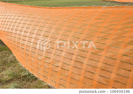 越來越多的橙色床單 106938196