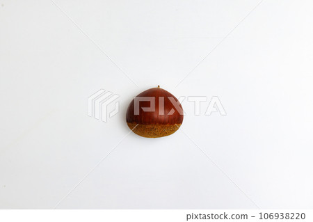 A grain of chestnuts 106938220