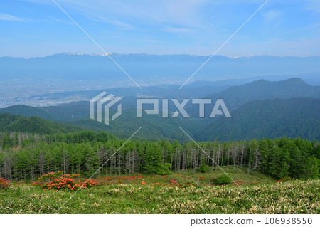 Rengetsu azalea and Northern Alps from Utsukushigahara Plateau Rengetsu azalea and Northern Alps from Utsukushigahara Plateau 106938550