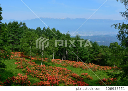 Northern Alps from Hakamakoshi lotus azalea colony Northern Alps from Hakamakoshi lotus azalea colony 106938551