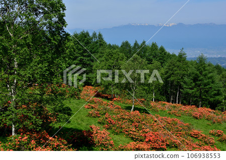 北阿爾卑斯山的袴越蓮花杜鵑花群落 106938553