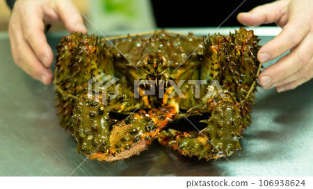 Kamchatka crab. Kamchatka crab. 106938624