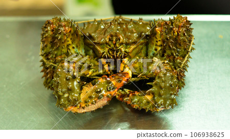 Kamchatka crab. Kamchatka crab. 106938625
