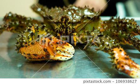 Kamchatka crab. Kamchatka crab. 106938627