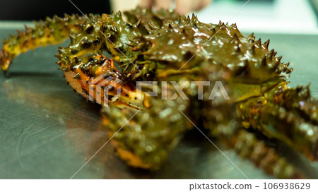 Kamchatka crab. Kamchatka crab. 106938629