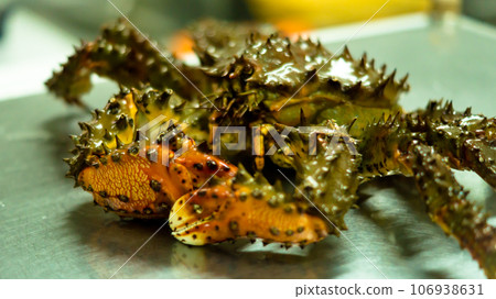 Kamchatka crab. Kamchatka crab. 106938631