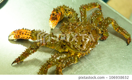 Kamchatka crab.  106938632