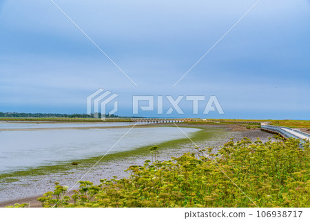 (Hokkaido) Summer Lake Furen/Shunkunitai (Hokkaido) Summer Lake Furen/Shunkunitai 106938717