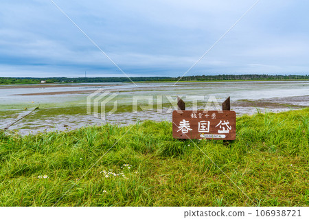 （北海道）夏季風蓮湖/春國隊 106938721