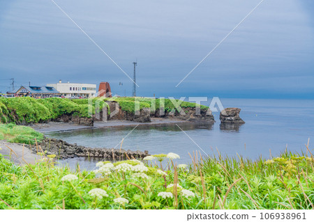 (北海道)諾沙布岬海岸 106938961