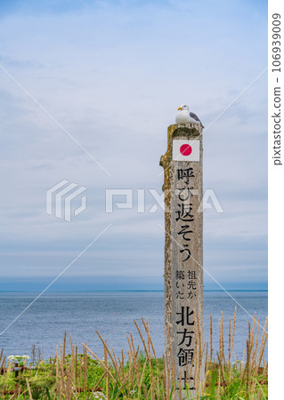 (北海道)諾沙布岬/讓我們重新喚回北領地 (北海道)諾沙布岬/讓我們重新喚回北領地 106939009