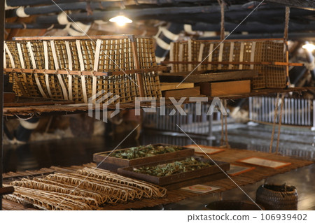 Domestic silkworm 106939402