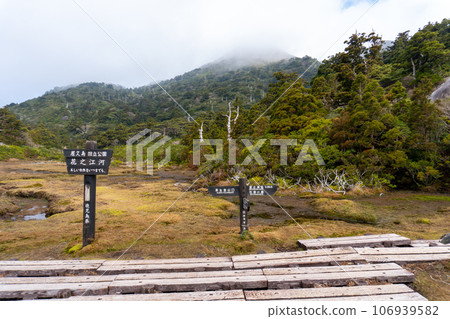 Scenery of Hananoe River in Yakushima Scenery of Hananoe River in Yakushima 106939582