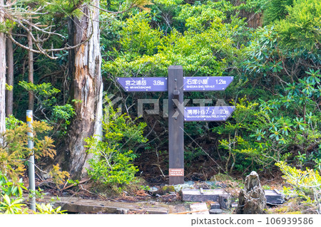 Scenery of Hananoe River in Yakushima Scenery of Hananoe River in Yakushima 106939586