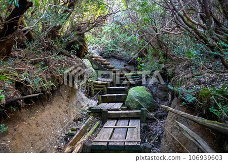 從花江川到屋久島黑見岳的景色 從花江川到屋久島黑見岳的景色 106939603