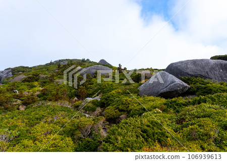 從花江川到屋久島黑見岳的景色 從花江川到屋久島黑見岳的景色 106939613