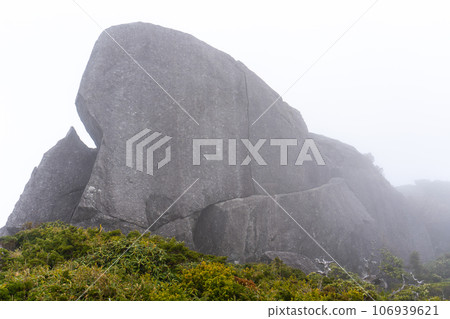 Mt. Kuromidake in Yakushima 106939621