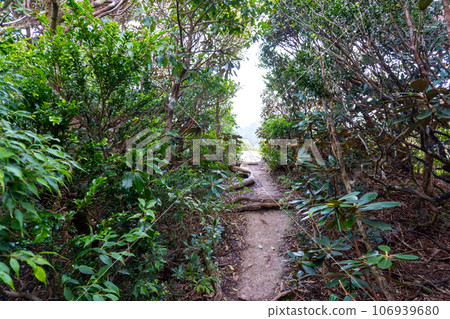從黑岳岳到屋久島宮之浦的景色 從黑岳岳到屋久島宮之浦的景色 106939680