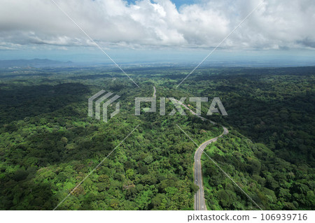 Bright sunny green landscape Bright sunny green landscape 106939716