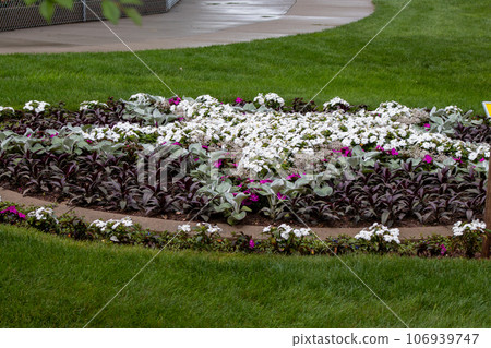 Flower Garden in full bloom in the summer sun Flower Garden in full bloom in the summer sun 106939747