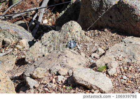 Canon Lens cap lost on the side of mountain 106939798