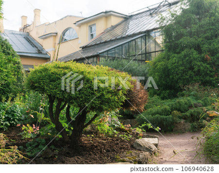 exotic plants in the botanical garden with old greenhouse in the background exotic plants in the botanical garden with old greenhouse in the background 106940628